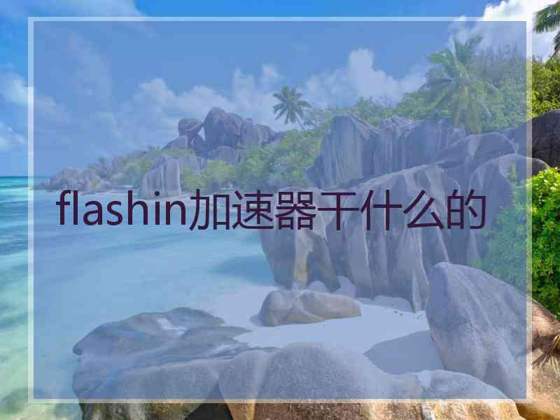 flashin加速器干什么的