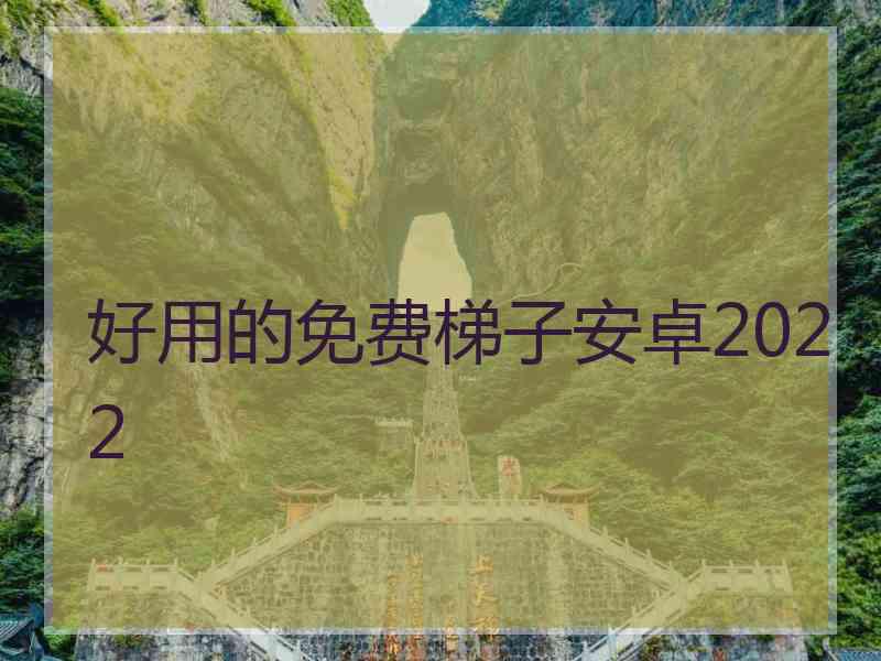 好用的免费梯子安卓2022