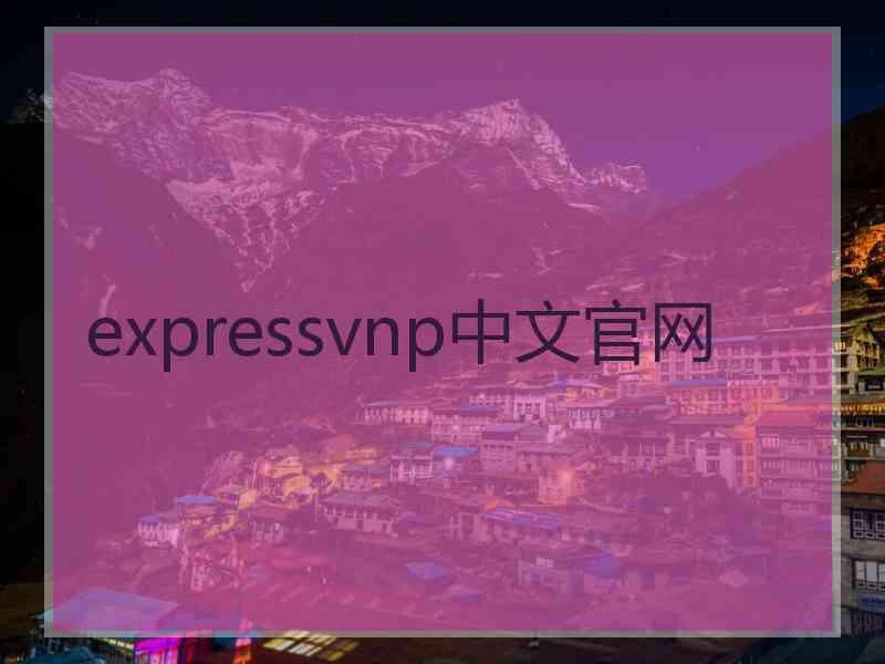 expressvnp中文官网