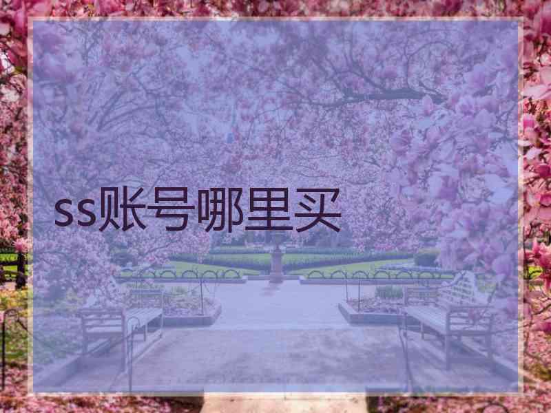 ss账号哪里买