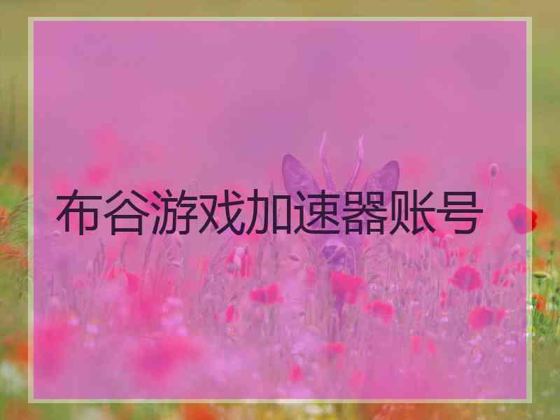 布谷游戏加速器账号