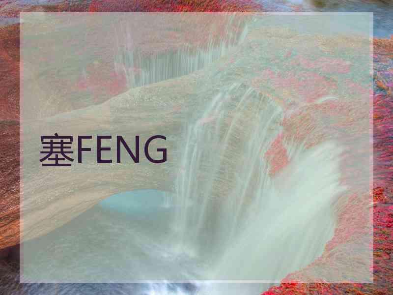 塞FENG