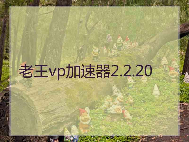 老王vp加速器2.2.20