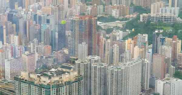 老王加速器论坛地址