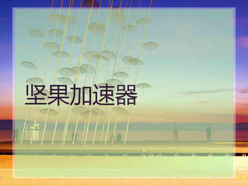 坚果加速器