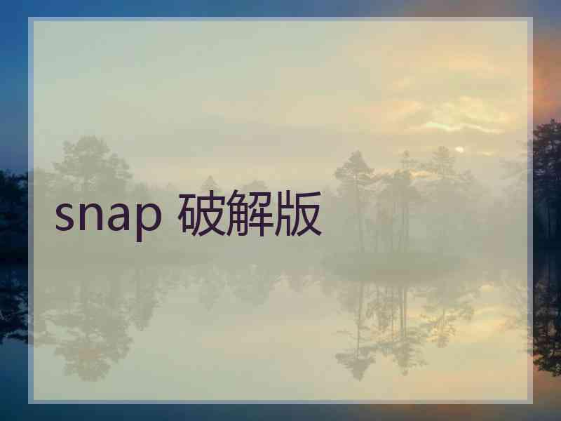 snap 破解版