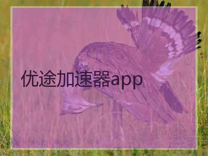 优途加速器app