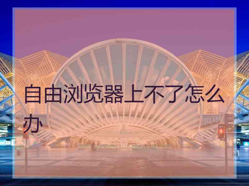 自由浏览器上不了怎么办