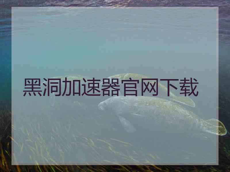 黑洞加速器官网下载