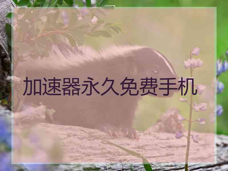 加速器永久免费手机