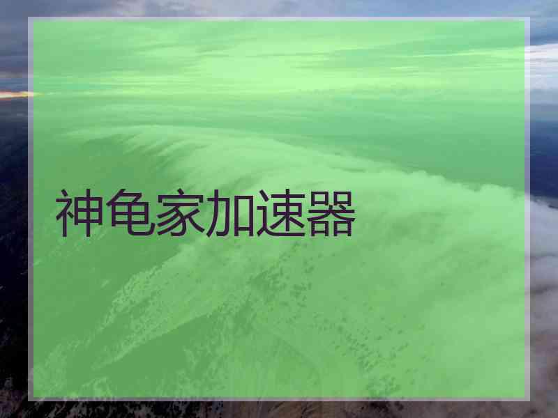 神龟家加速器