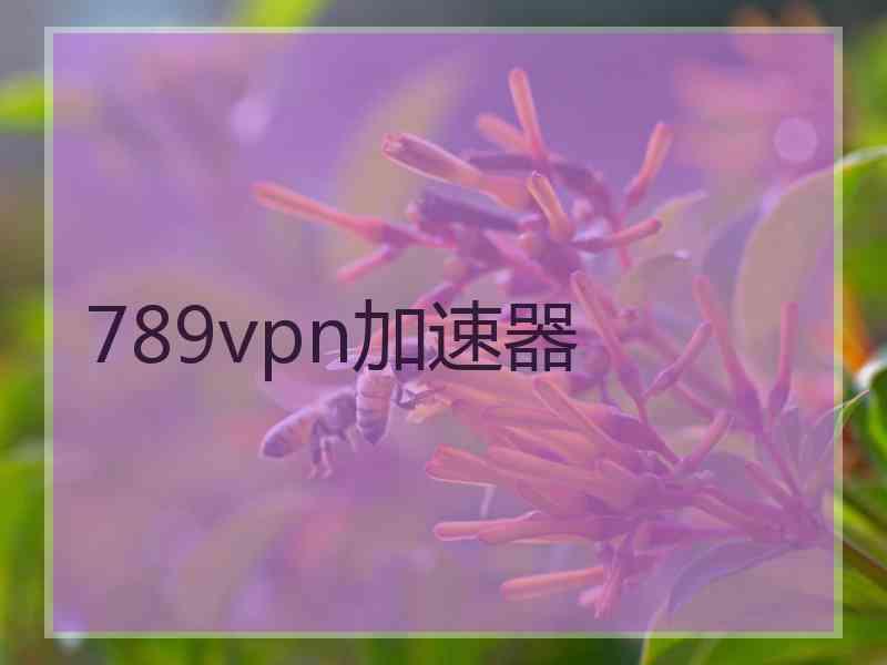 789vpn加速器
