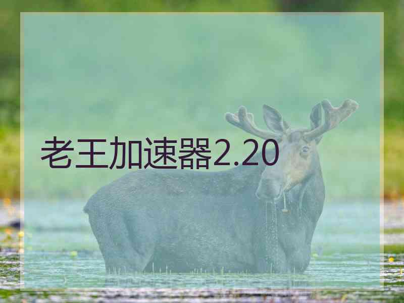 老王加速器2.20