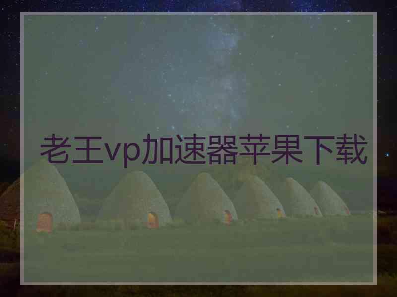 老王vp加速器苹果下载