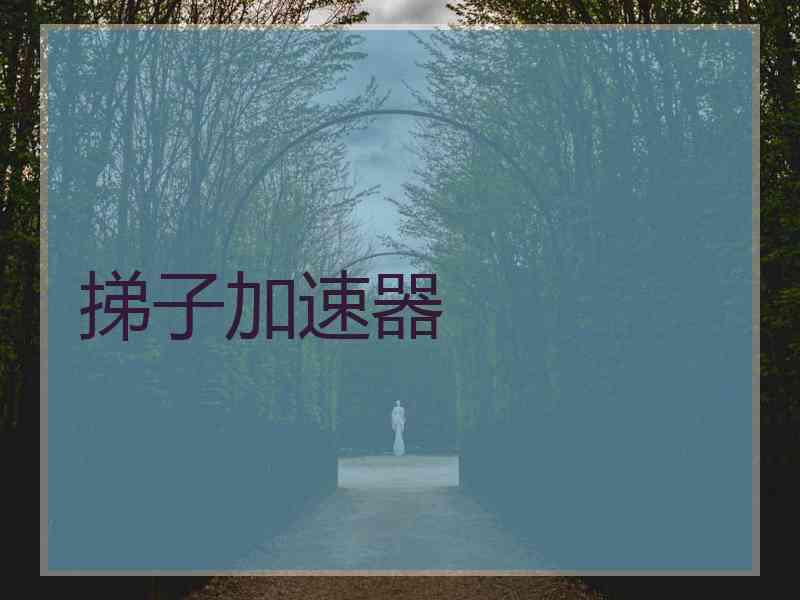 挮子加速器