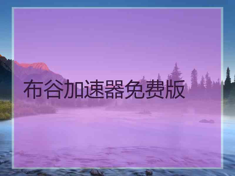 布谷加速器免费版