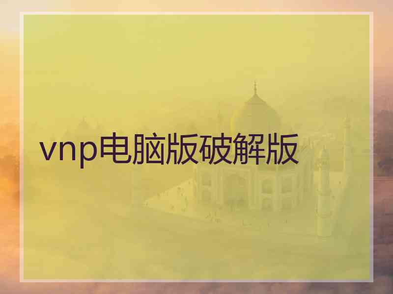 vnp电脑版破解版