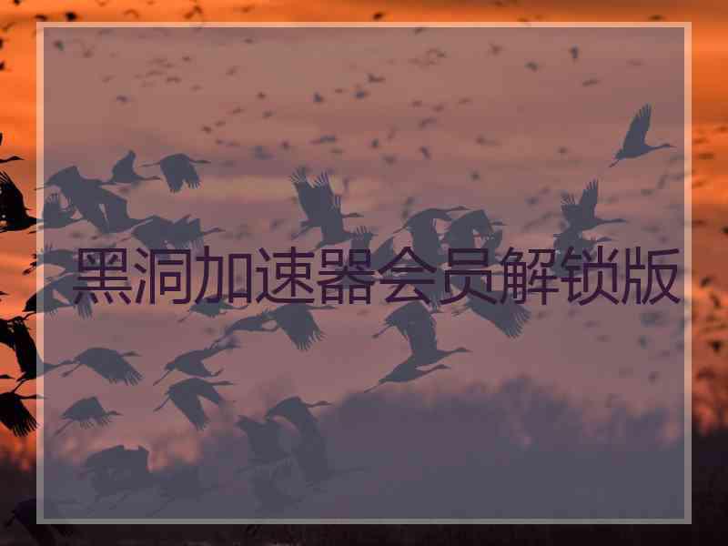 黑洞加速器会员解锁版