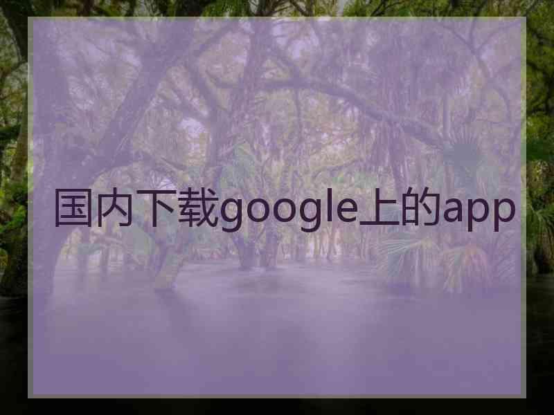 国内下载google上的app