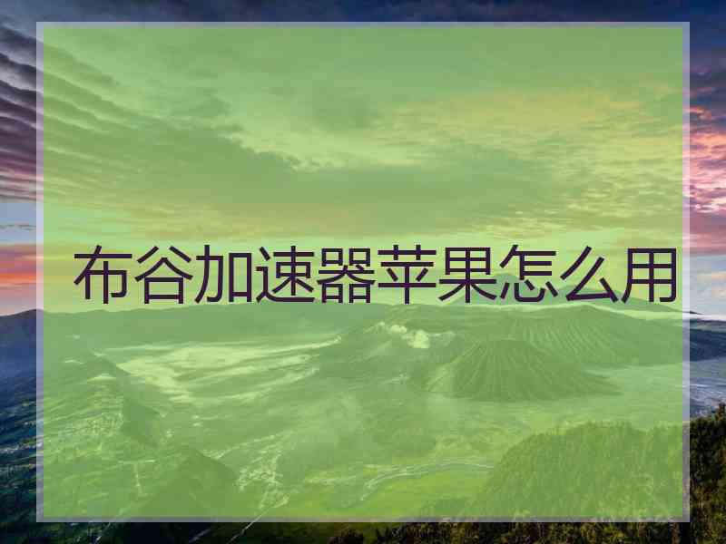 布谷加速器苹果怎么用