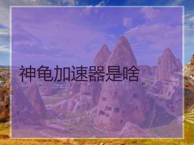 神龟加速器是啥