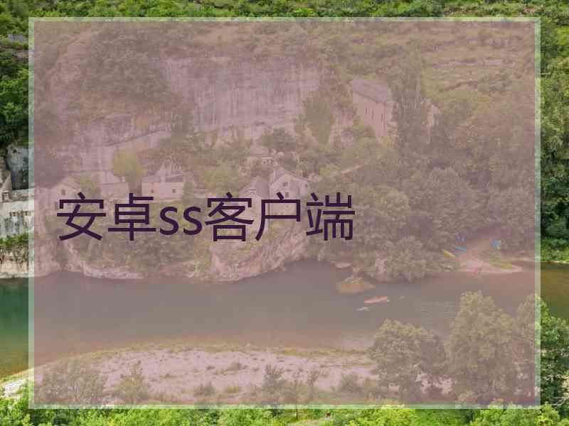 安卓ss客户端