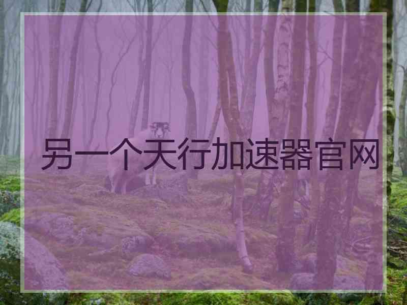 另一个天行加速器官网