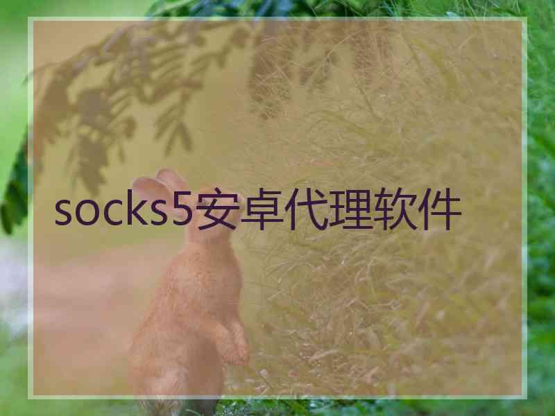 socks5安卓代理软件