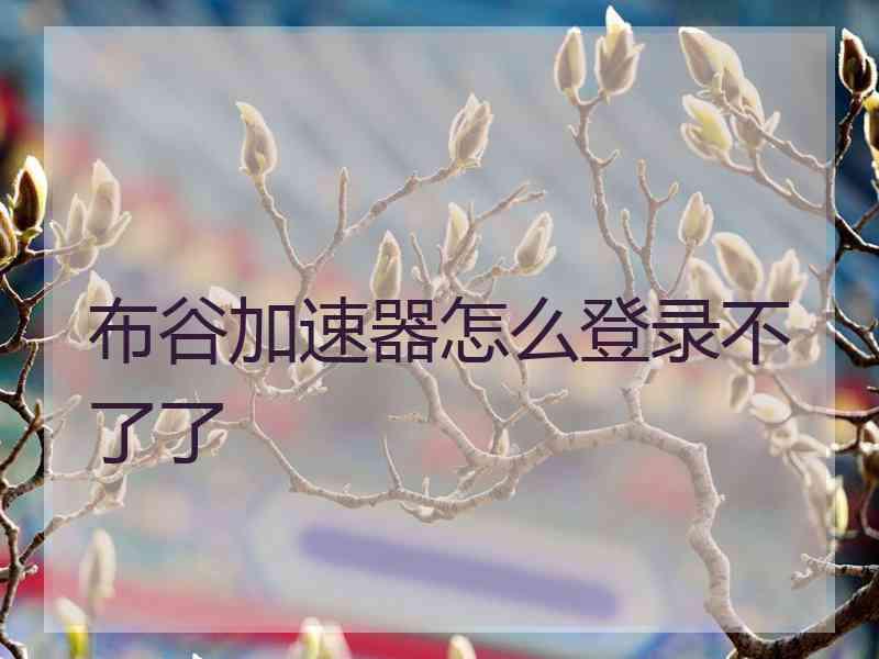 布谷加速器怎么登录不了了