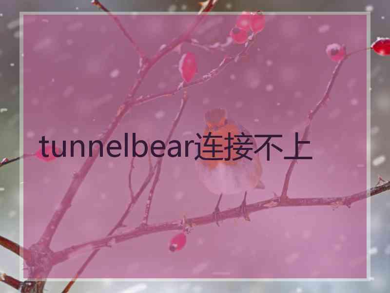 tunnelbear连接不上