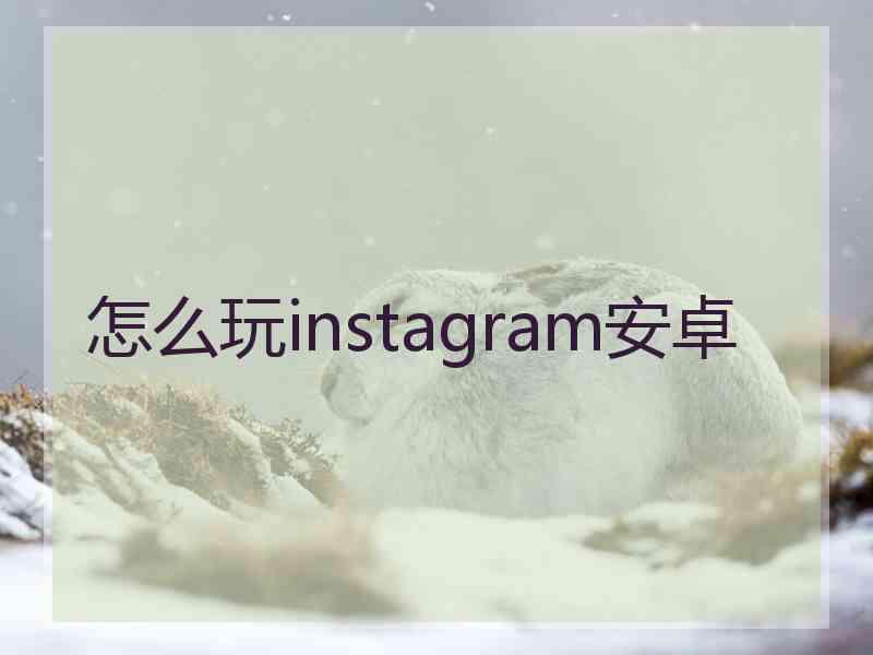 怎么玩instagram安卓