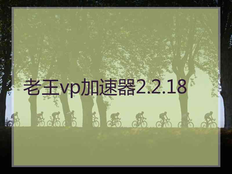 老王vp加速器2.2.18