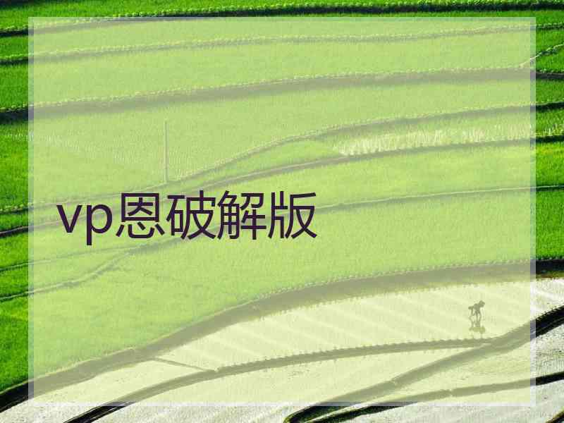 vp恩破解版
