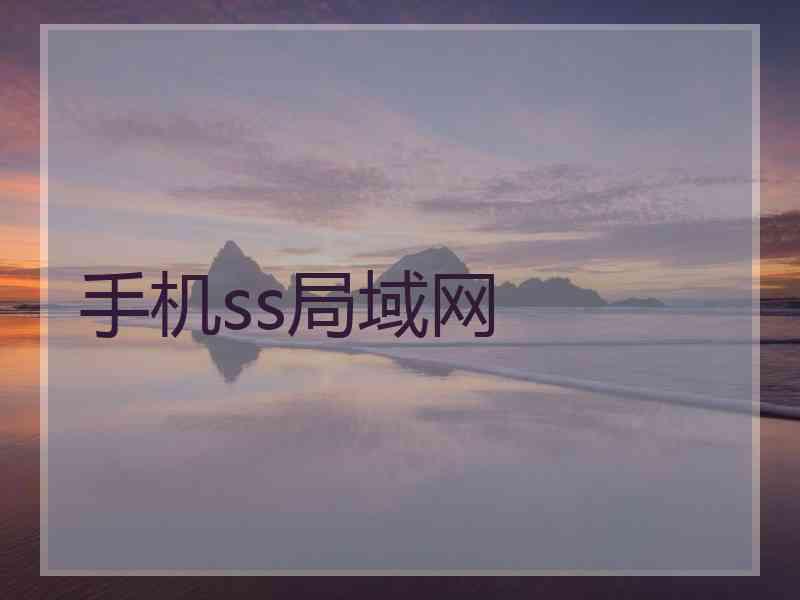 手机ss局域网