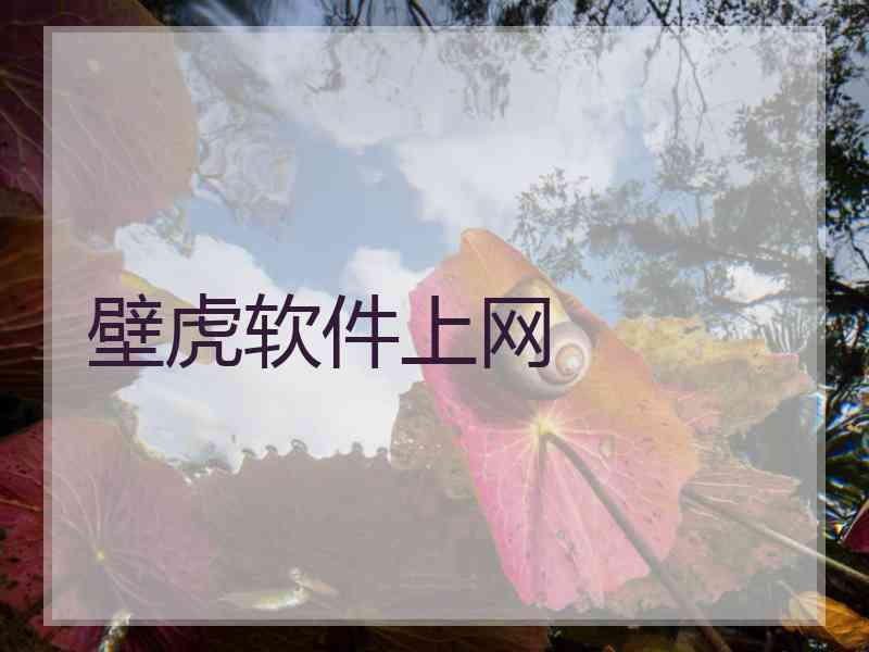 壁虎软件上网
