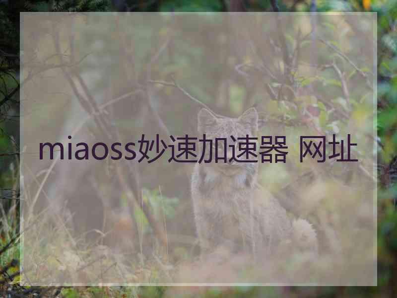miaoss妙速加速器 网址