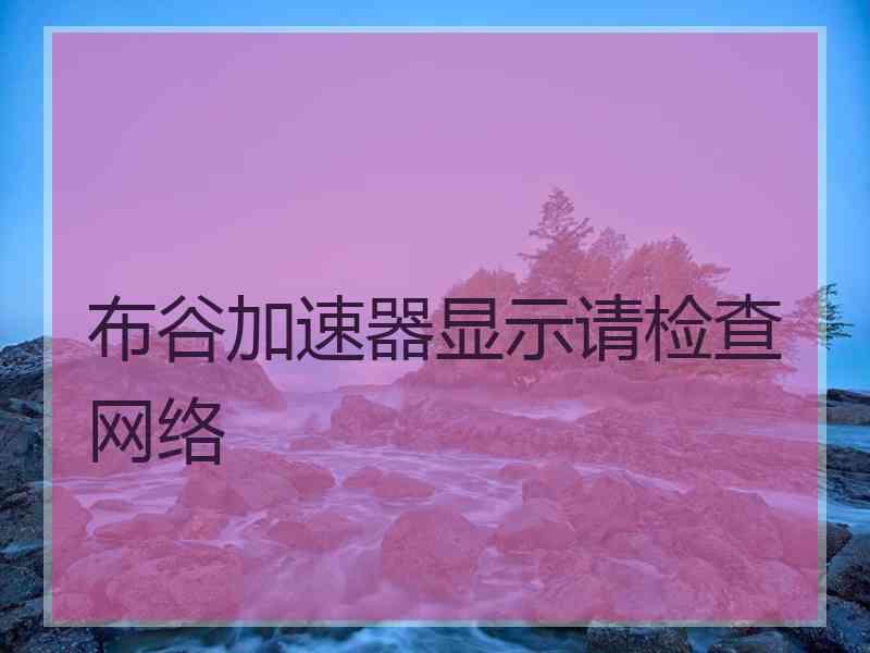 布谷加速器显示请检查网络