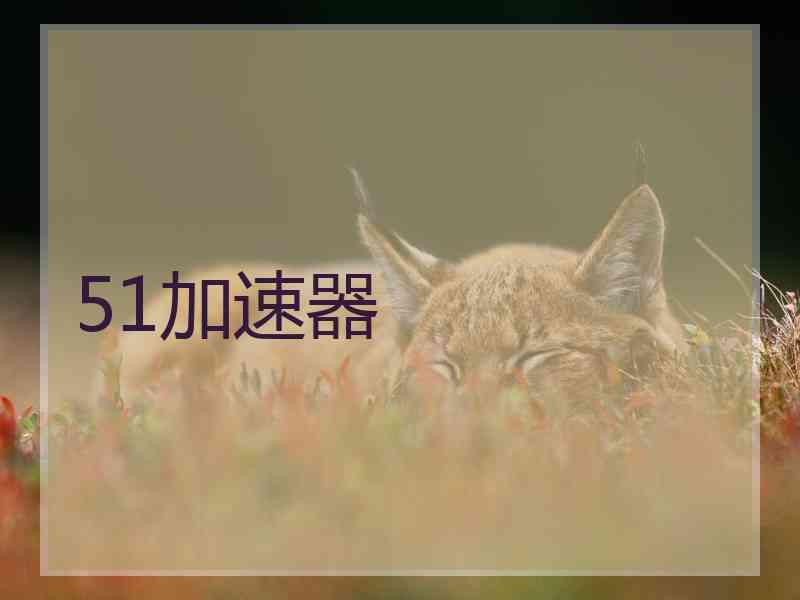 51加速器