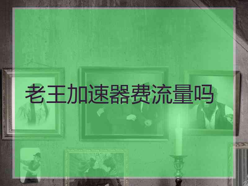 老王加速器费流量吗