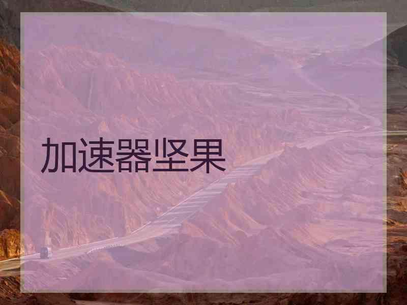 加速器坚果