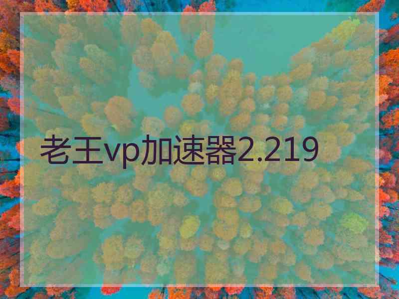 老王vp加速器2.219