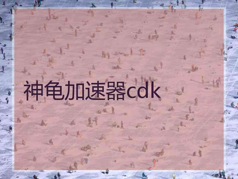 神龟加速器cdk