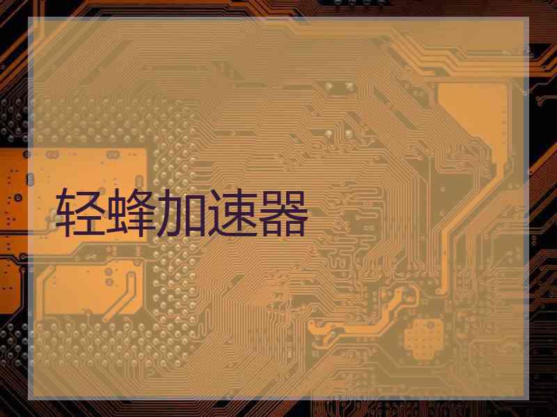 轻蜂加速器