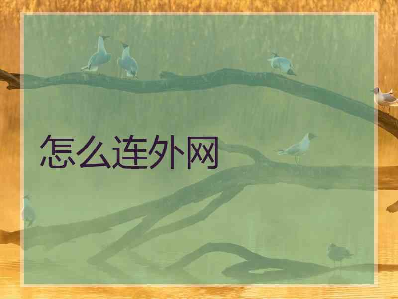 怎么连外网