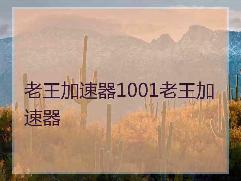 老王加速器1001老王加速器