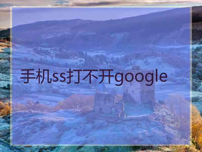 手机ss打不开google