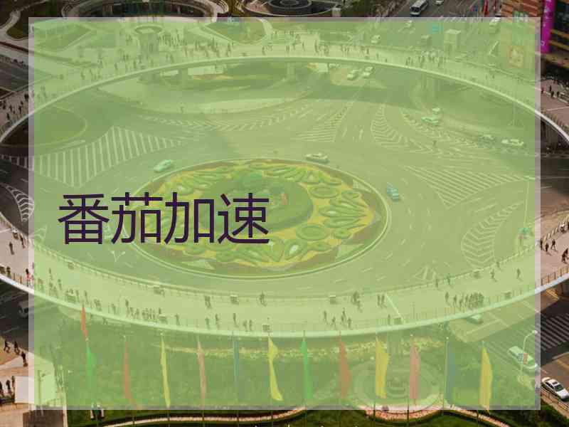 番茄加速