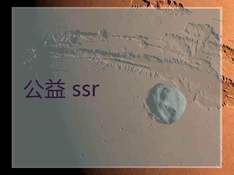 公益 ssr