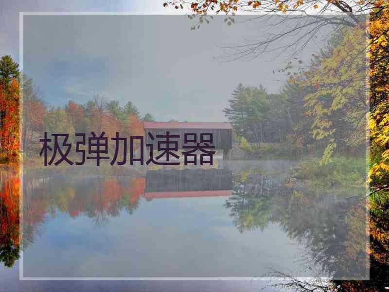 极弹加速器