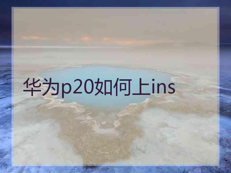 华为p20如何上ins